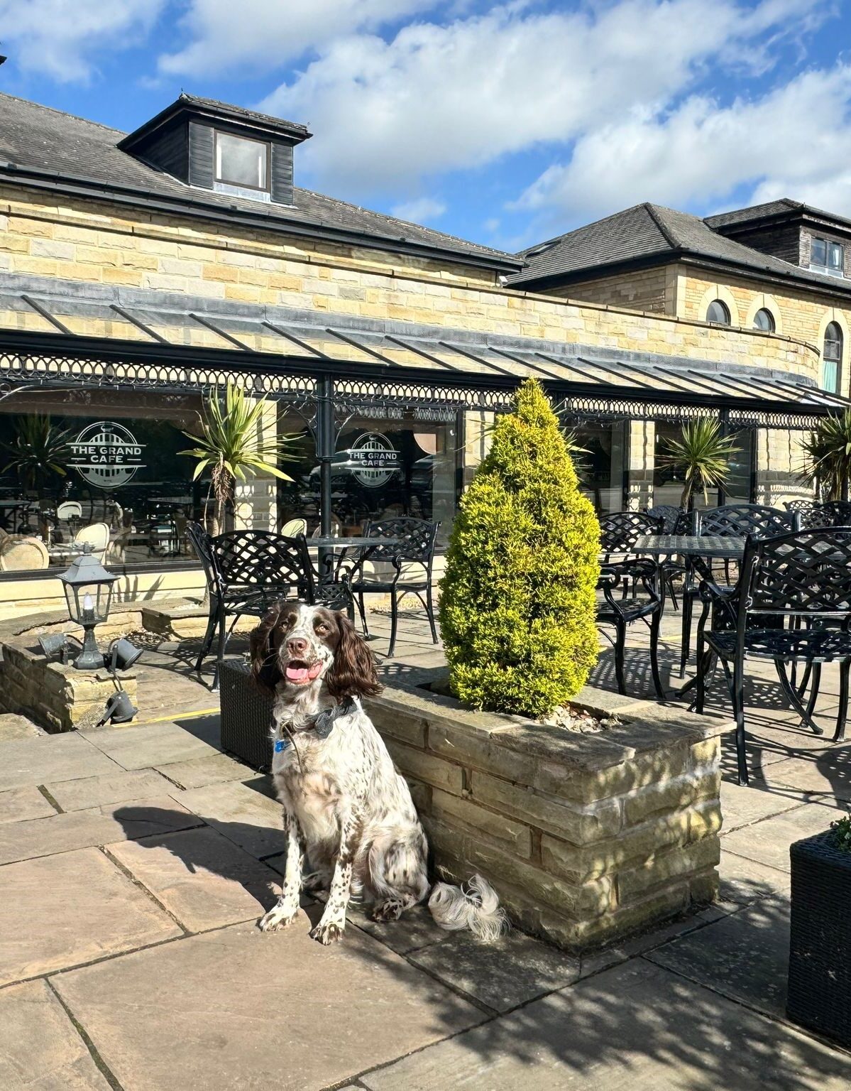 dog-friendly-hotel-west-yorkshire-waterton-park