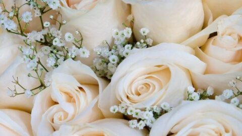 Wedding-1-1024x1024-1