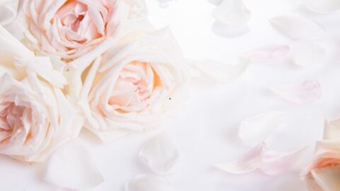 Wedding-4-1024x1024-1