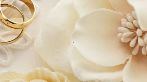 Wedding-6-1024x1024-1