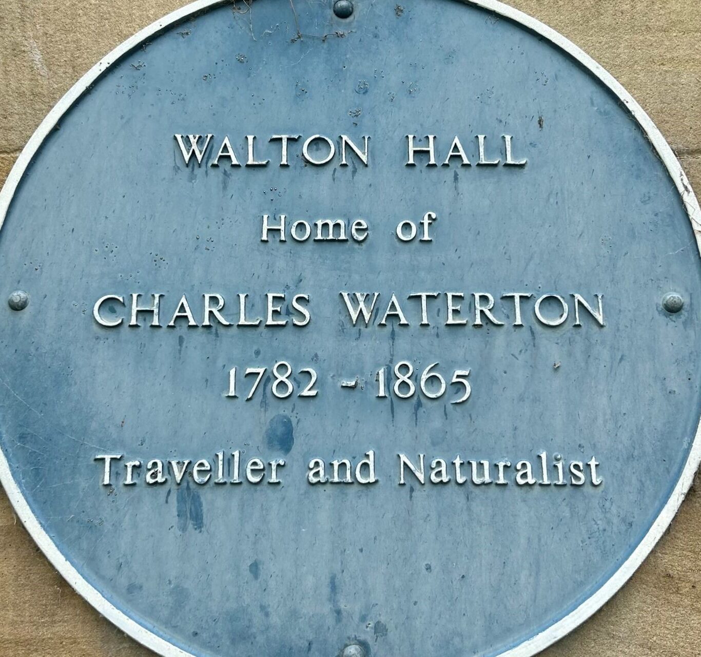 Untitled design – 1