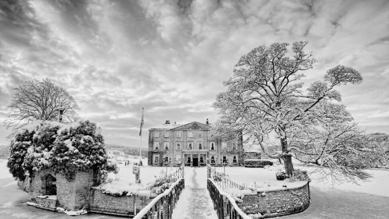 Untitled design – 1