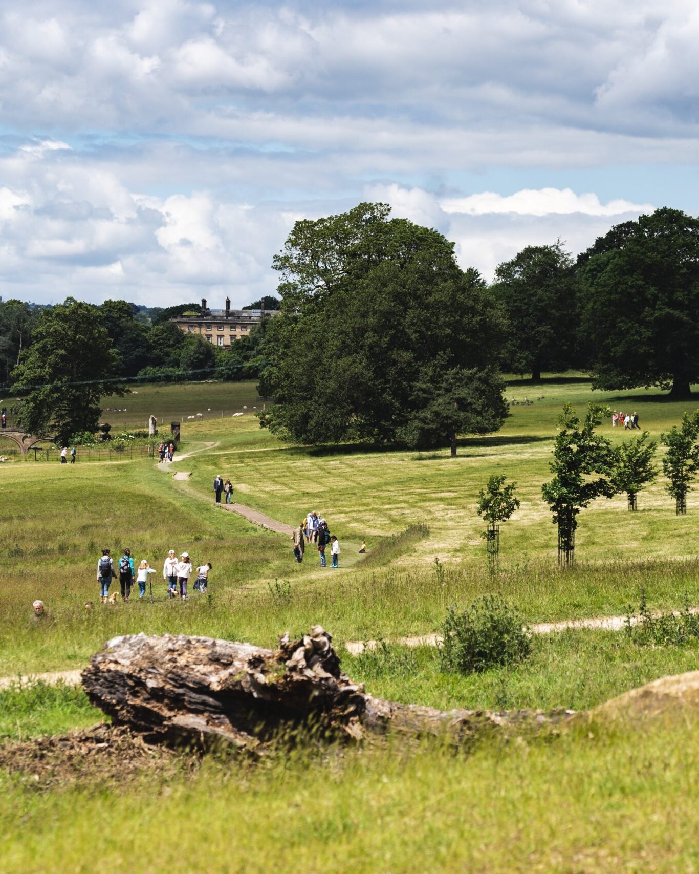 Damien Hirst,Yorkshire Sculpture Triangle Opening Event,,,Photo_Copyright_George Baggaley, courtesy YSP